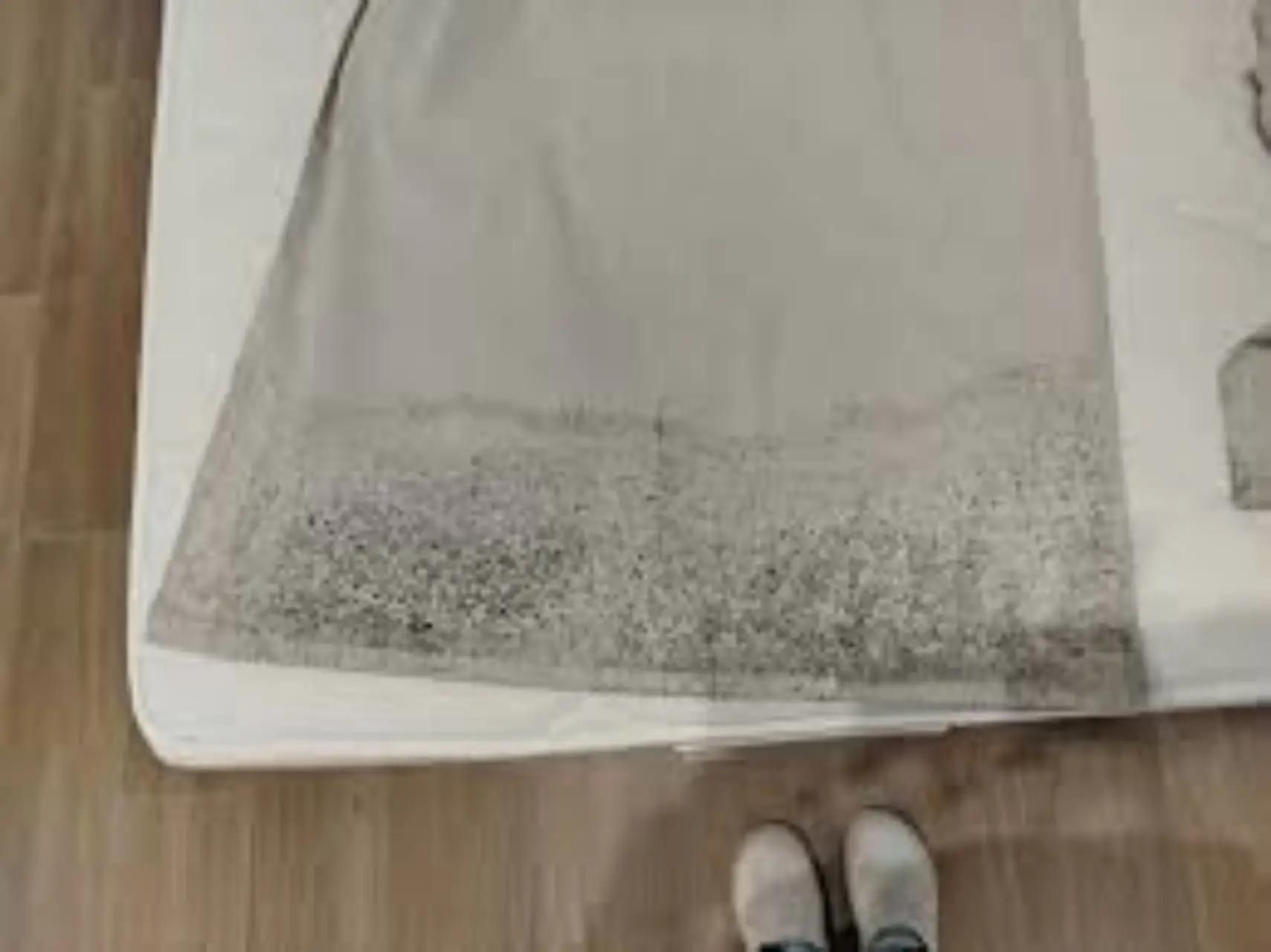 Non portare il tappeto in lavanderia: ecco il metodo definitivo per lavarlo in casa