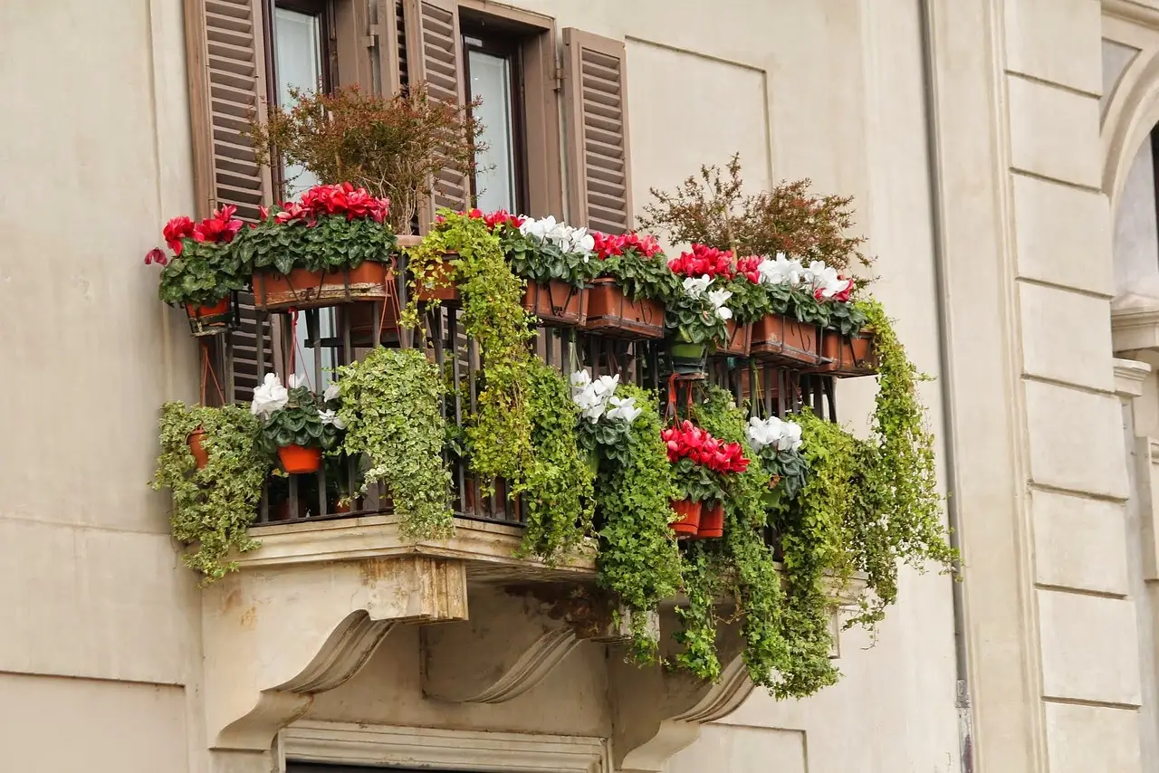 Balcone sempre fiorito? Ecco la pianta che resiste tutto l’anno e stupisce tutti