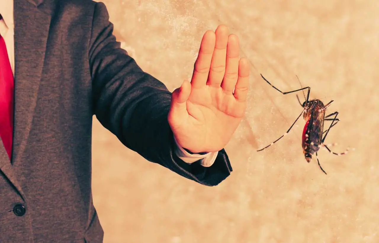 Dimentica le candele: ecco l’erba aromatica che tiene lontane le zanzare meglio di qualsiasi repellente