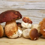 Come cucinare i funghi porcini: ecco come conservarne il profumo